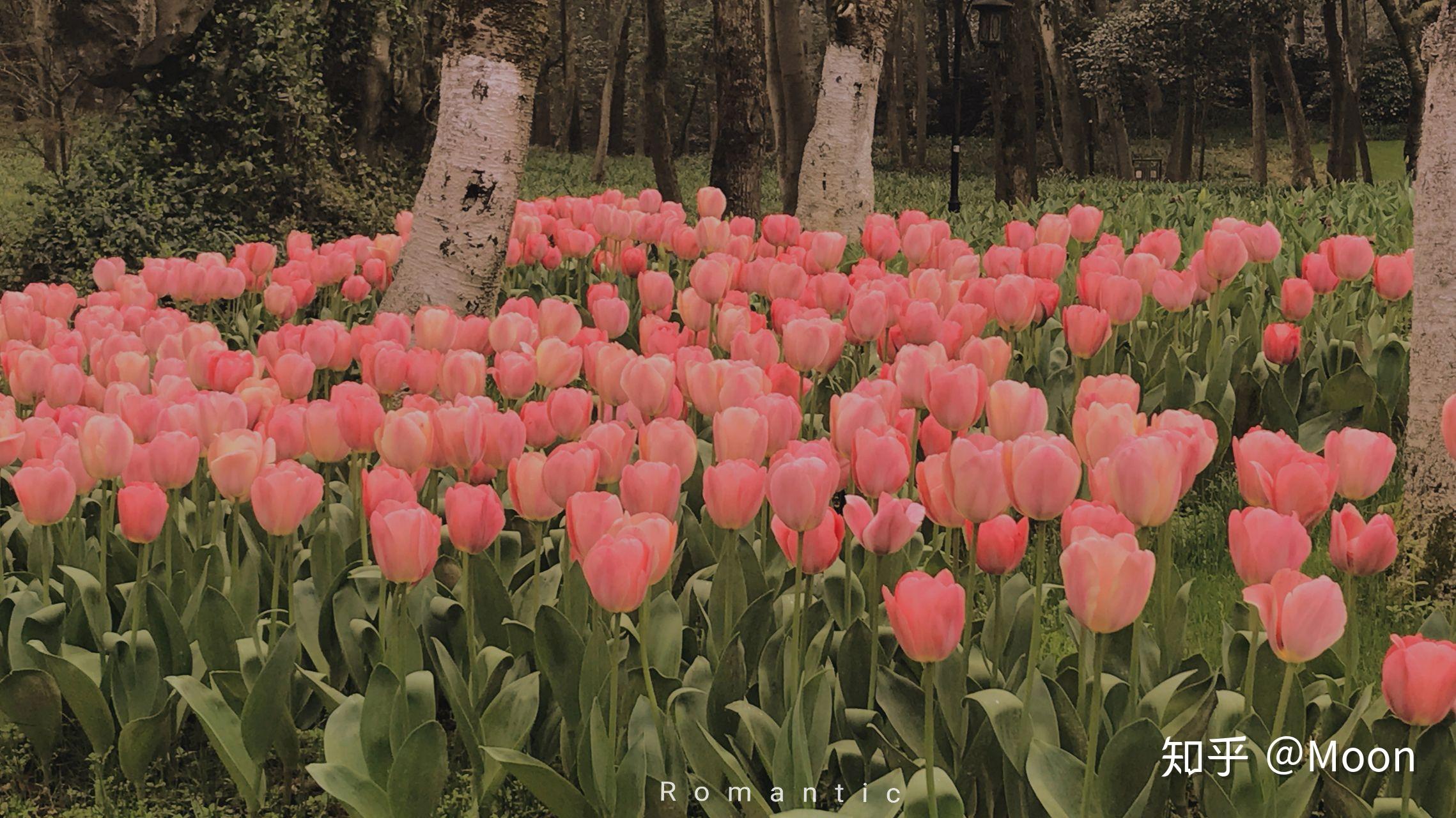 你用过哪些有趣或有意义的微信朋友圈背景图