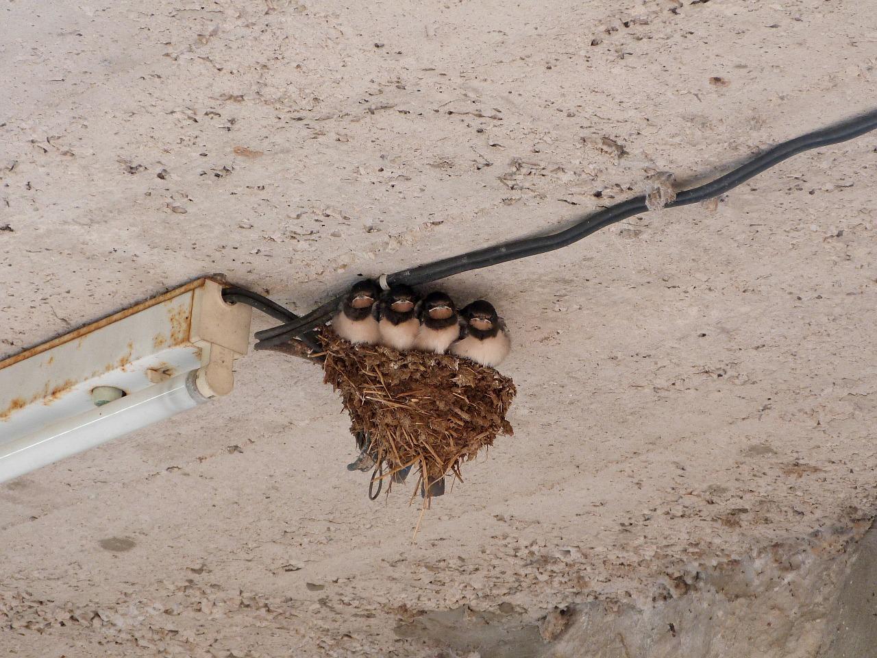 2. 信誉评价如何