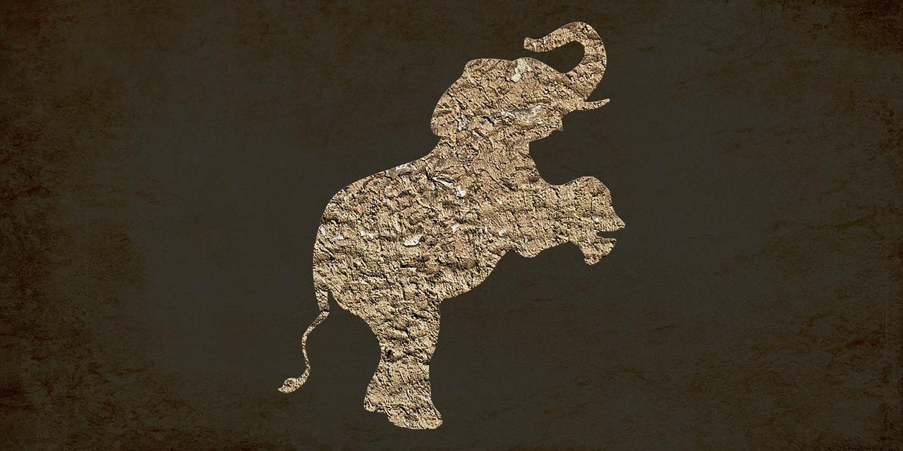 4. 豪宅景观视野