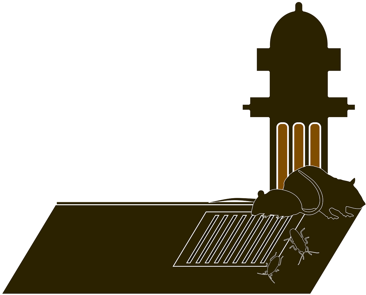 如何清理地漏飞虫