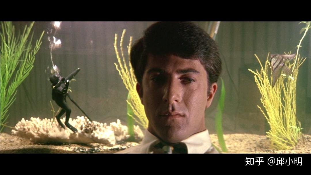 如何评价1967年电影毕业生