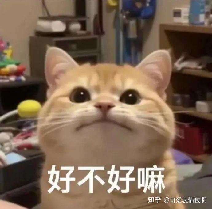 表情包:俺不中嘞 - 知乎