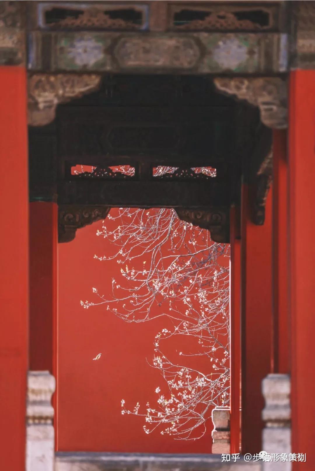 朱红|你所不知的中国文化 - 知乎