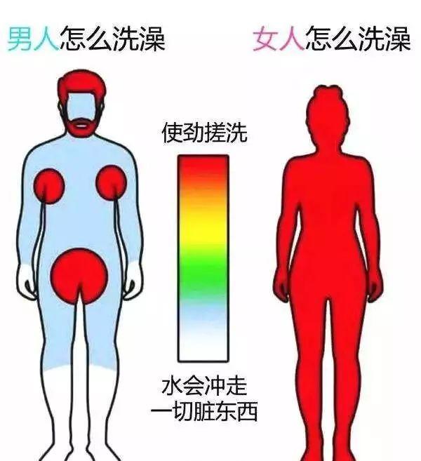 如何看待媒体称「为减少对俄能源依赖,德国副总理呼吁洗澡洗 4 个部位