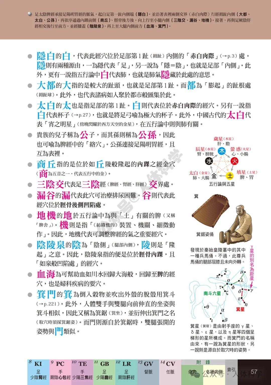 【经穴科学】中医解剖学全身穴位高清图集② - 知乎