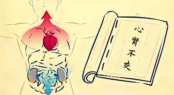 中医辨证调理心肾不交型植物神经紊乱上热下寒失眠等症状