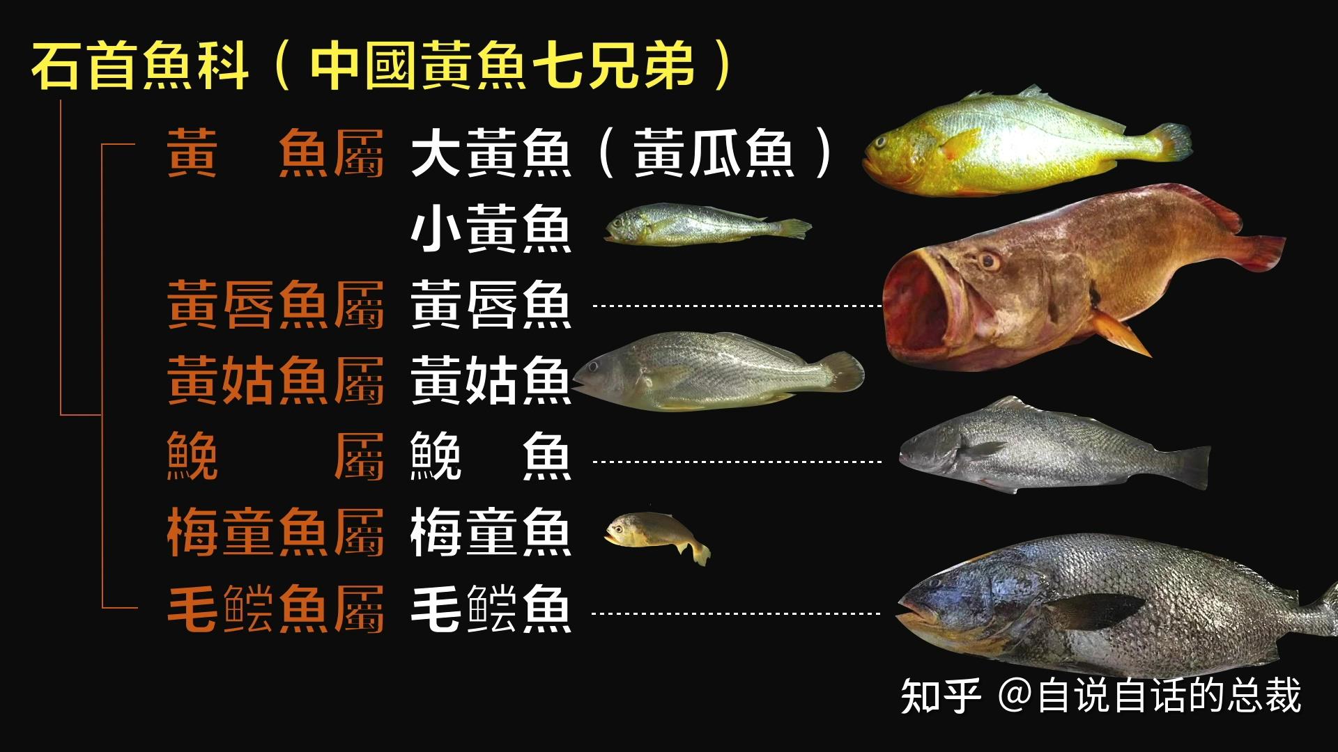 大黄鱼为什么快要绝迹了? - 知乎