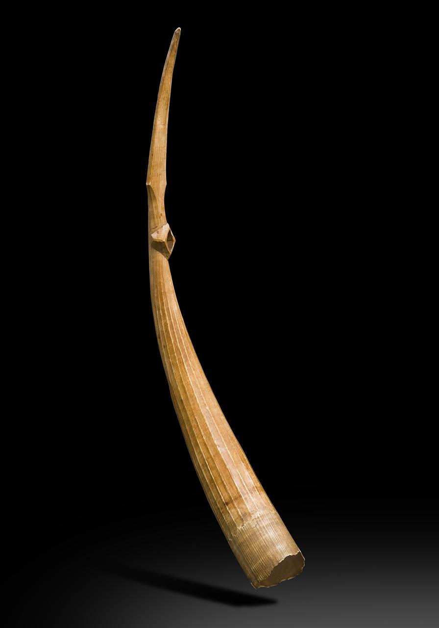 非洲桃木是什么