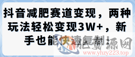 抖音减肥赛道变现，两种玩法轻松变现3W+，新手也能快速复制