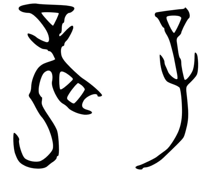 从甲骨文的龙字观察龙是否存在 - 知乎