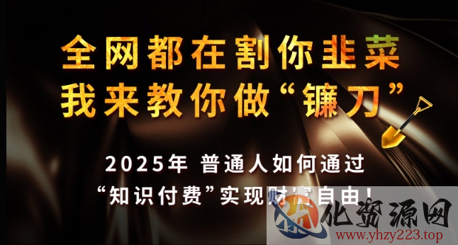 全网都在割你韭菜，我来教你做镰刀，2025年普通人如何通过 知识付费 实现财F自由【揭秘】