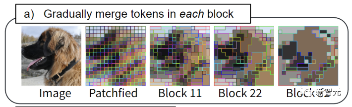 加速ViT模型新思路!Meta推出Token Merging,不靠剪枝靠合并 - 知乎