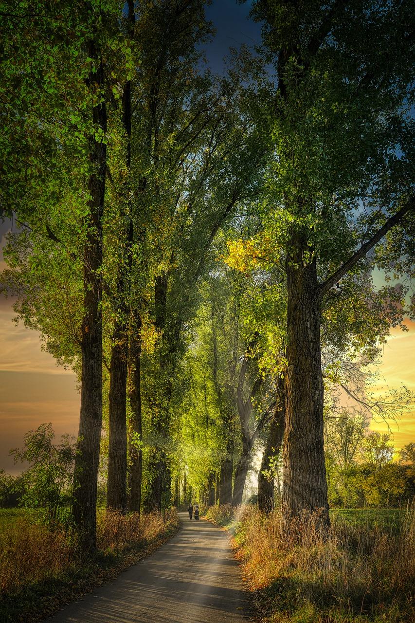 5. 和谐大道开通日