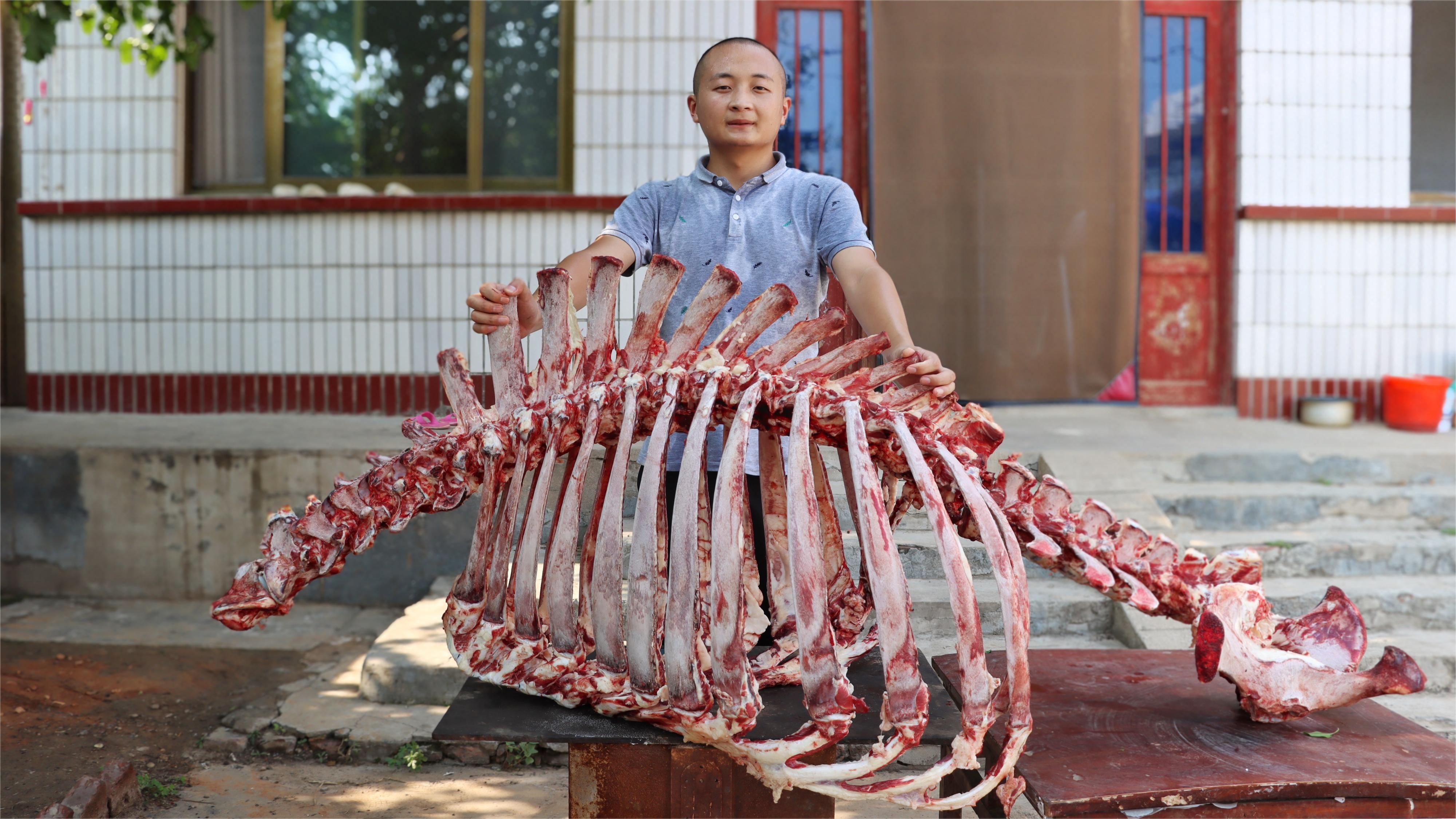 半吨先生牛骨架图片