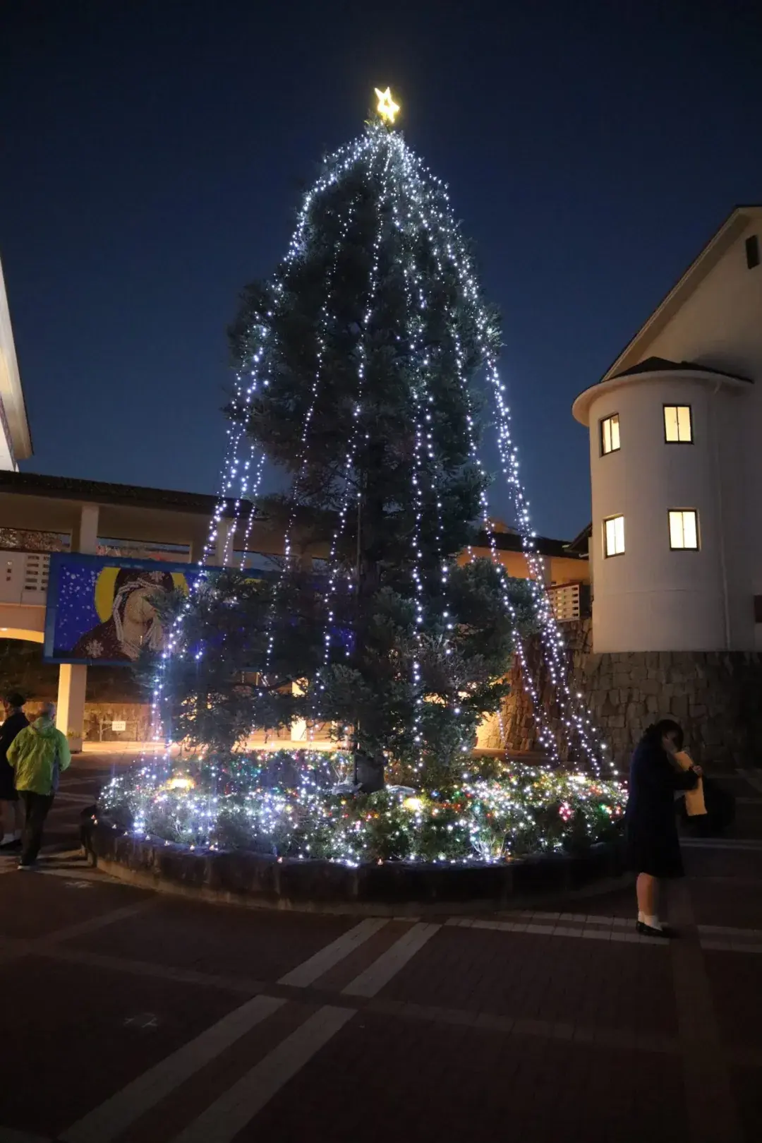 请输入图片描述 请输入图片描述