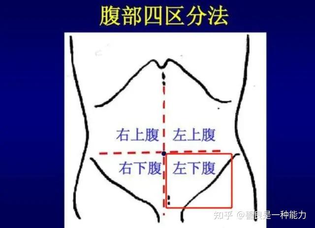 男性左下腹疼痛位置图图片