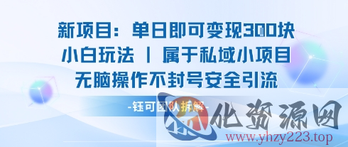 新项目单日即可变现3张的小白玩法无脑操作不封号安全引流