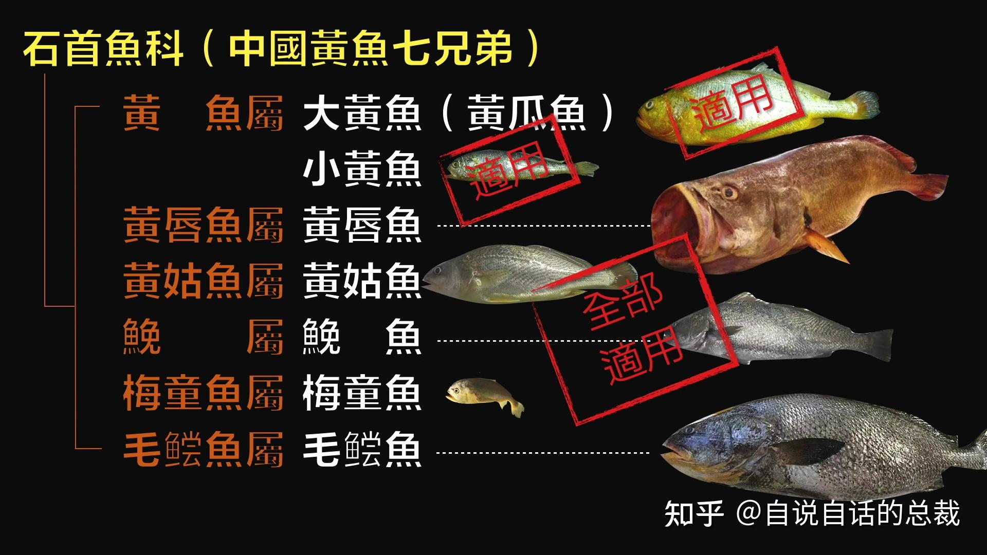 大黄鱼为什么快要绝迹了? - 知乎
