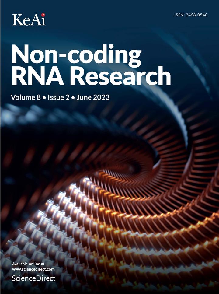  non coding rna research 