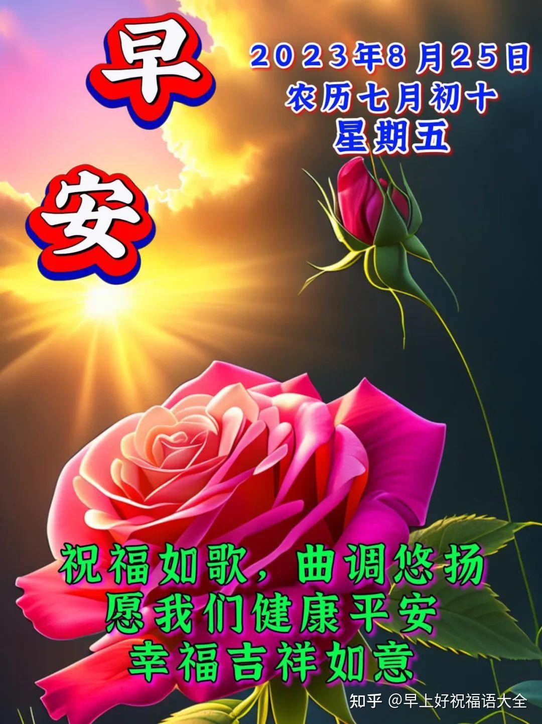 8月25日周五早上好，唯美祝福语图片带字 - 知乎