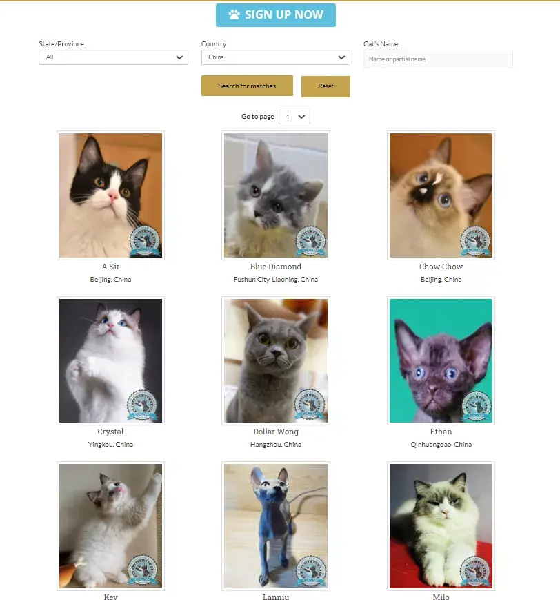 中国本土猫咪,到底有几个品种? - 知乎