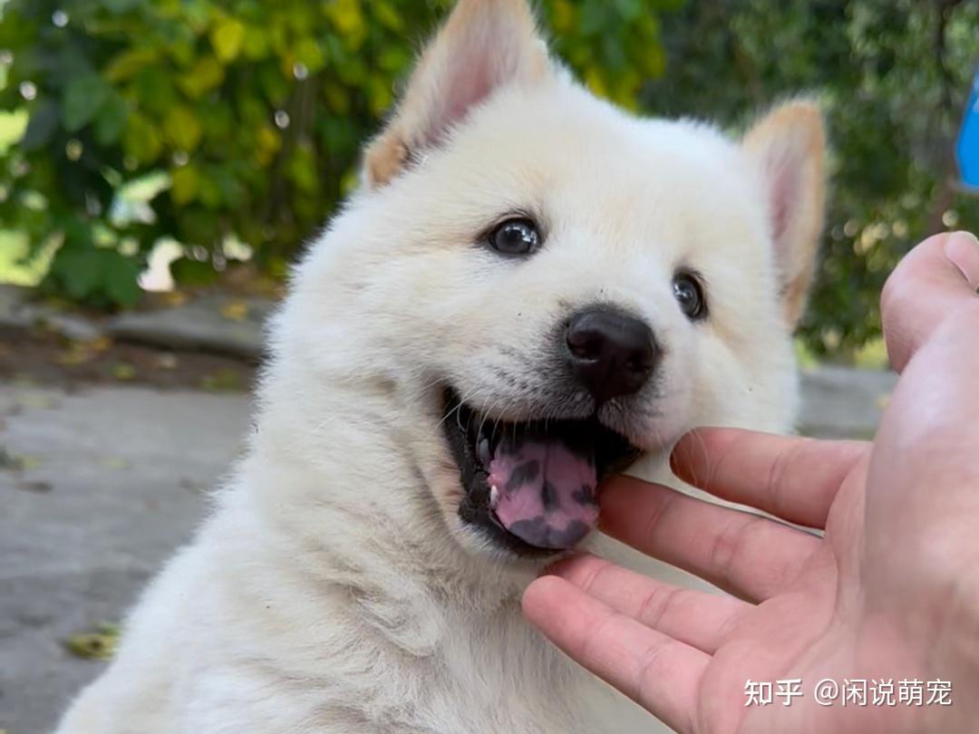 中国北方的