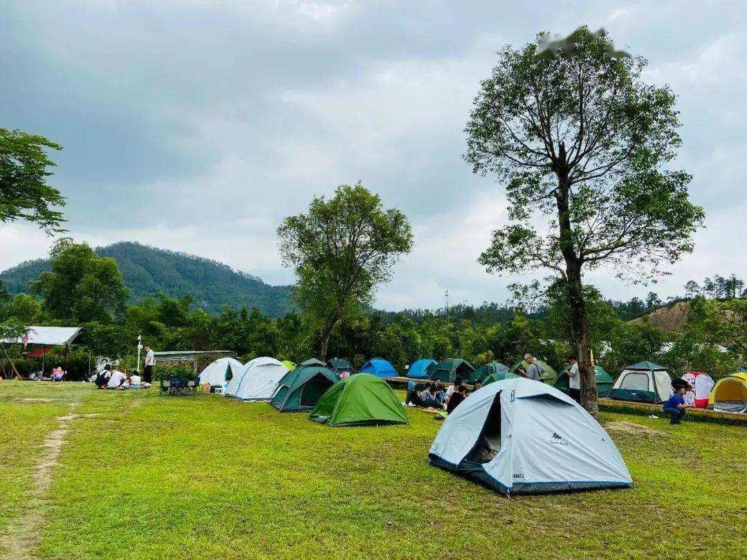 江苏15条实招撬动首发消费新高地