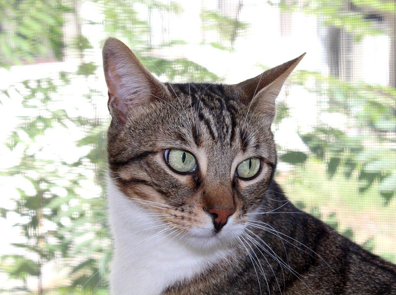 怎么知道房间里死过人