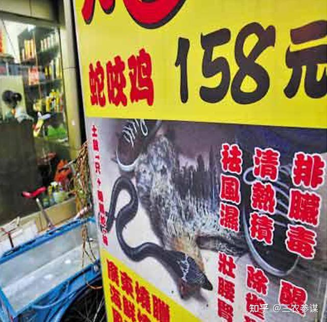 在农村，据说老母鸡先要被毒蛇咬上一口再去炖才美味。难道不怕中毒吗？ - 知乎