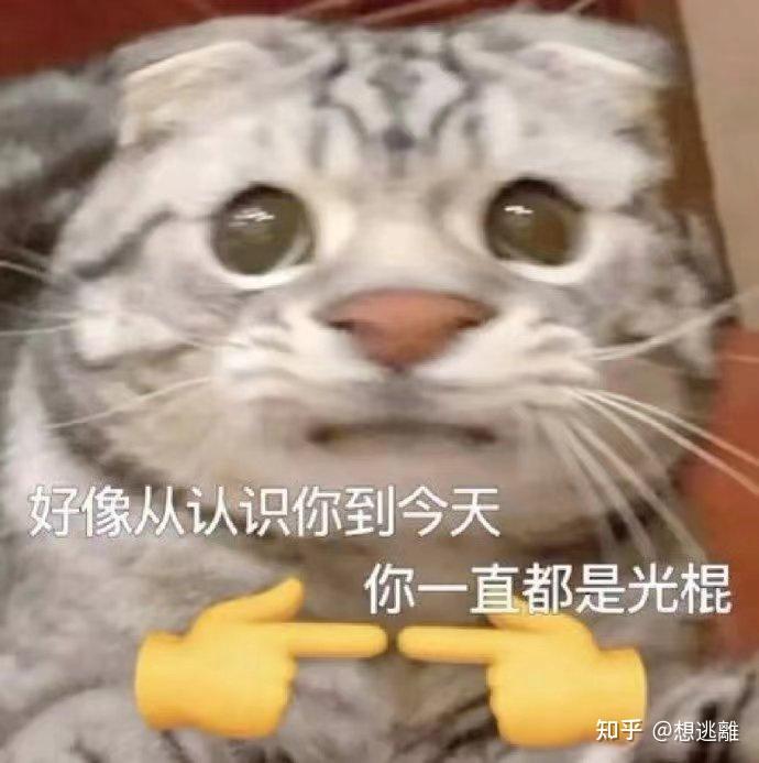超搞笑的表情包来咯!!! - 知乎