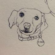 Zhihu profile picture for @chromatography