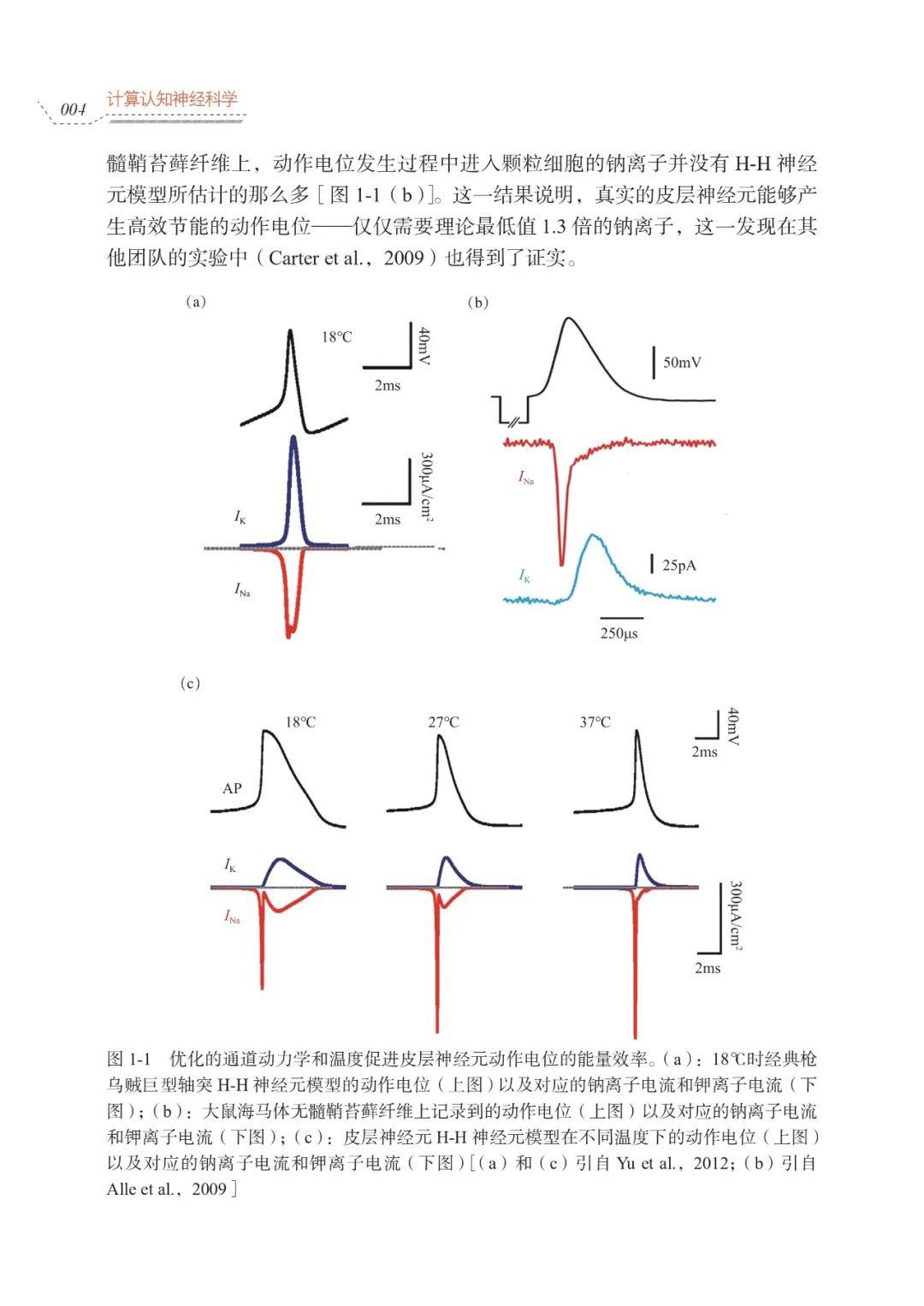 新兴、高速发展交叉学科:《计算认知神经科学》导读 - 知乎