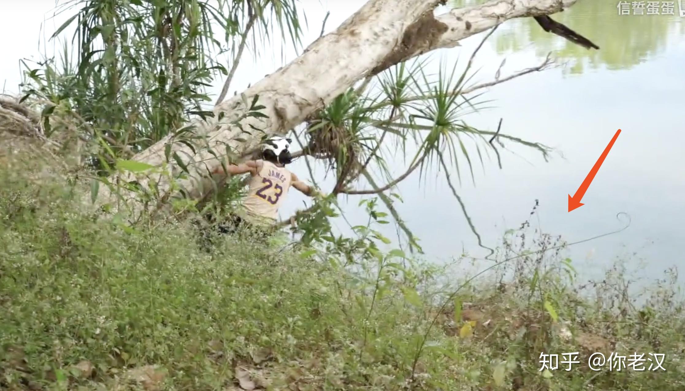 如何看待b站新进up信誓蛋蛋澳大利亚荒野求生最新一期视频钓鲨鱼疑似