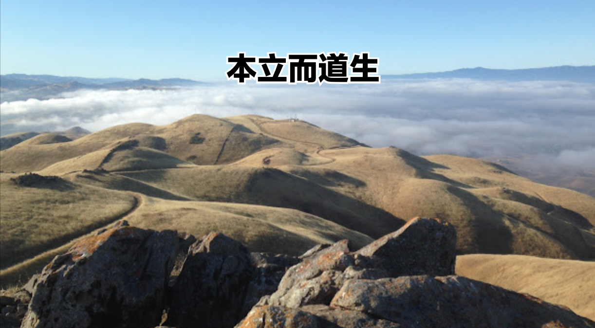 理解《论语》第一篇第2节-其为人也孝弟,而好犯上者,鲜矣 - 知乎