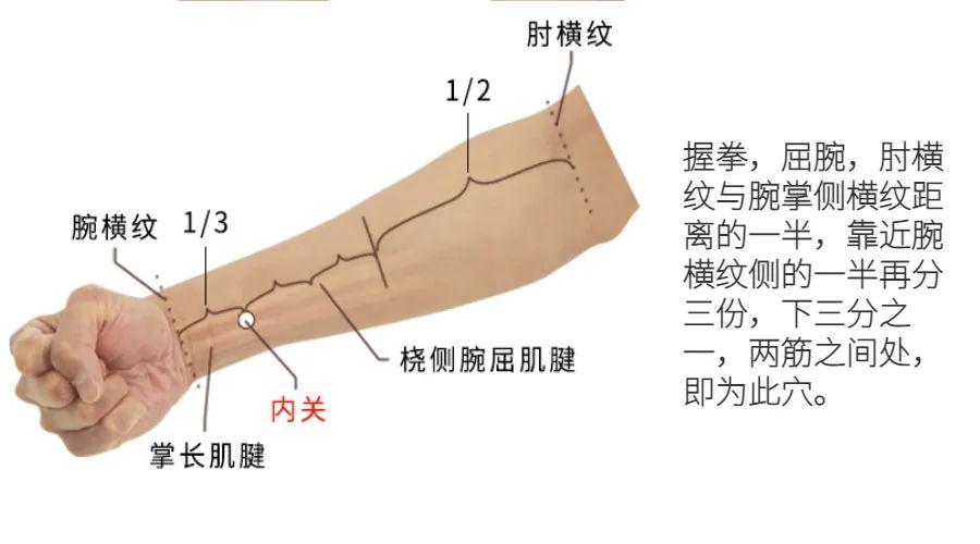 驱寒：肾寒、肝寒、心寒、脾寒、肺寒，用穴位把五脏寒邪统统散掉1 - 知乎