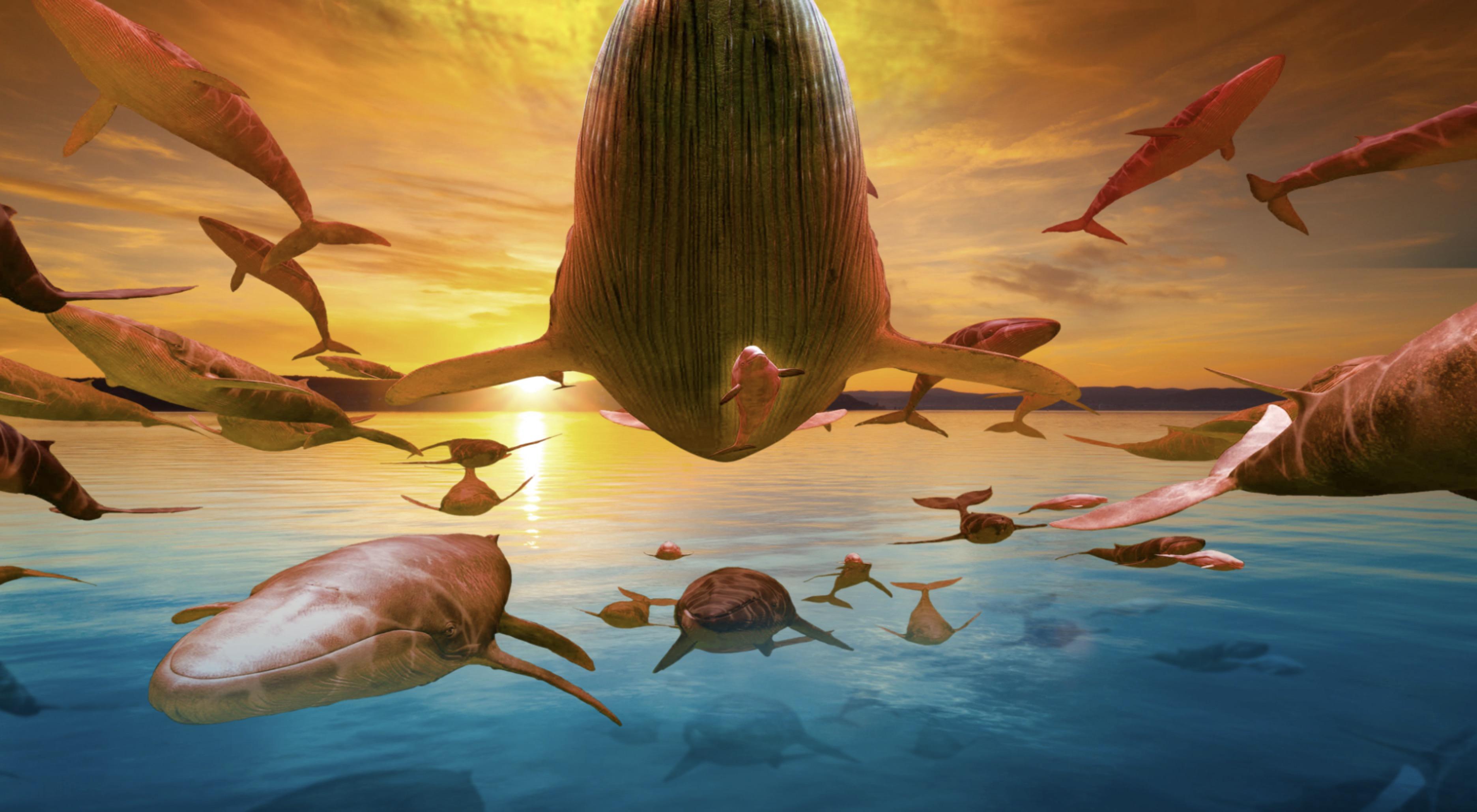 ps中如何实现鲸鱼在空中飞翔的效果? - 知乎