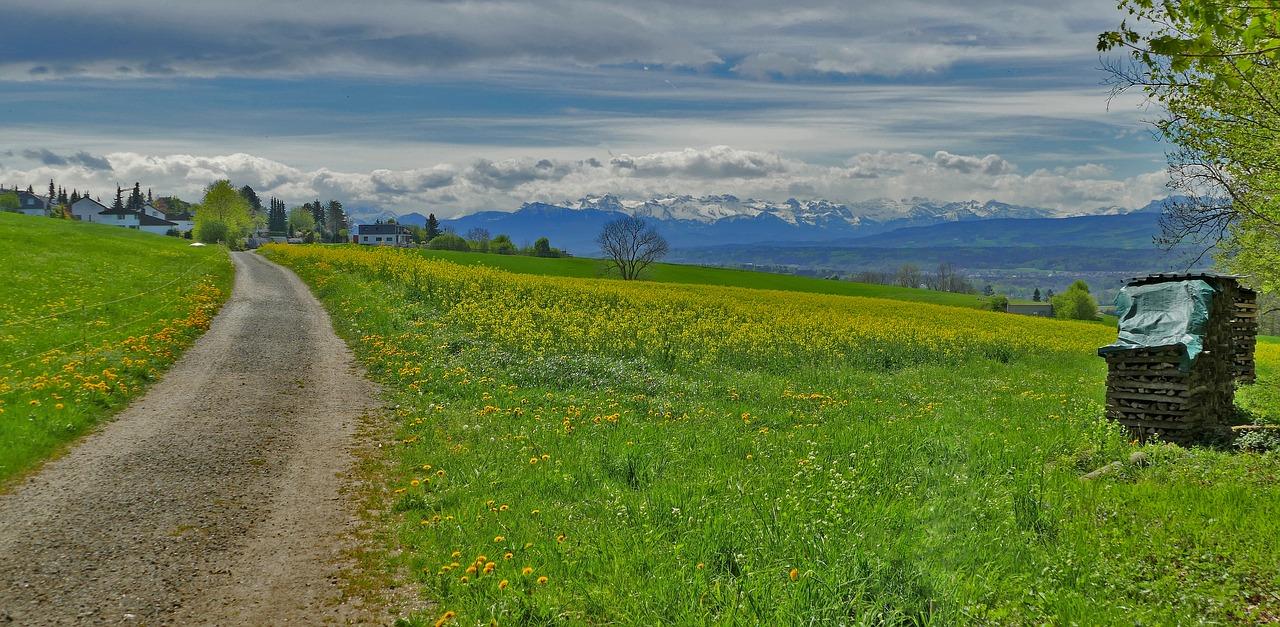4. 空间布局优化