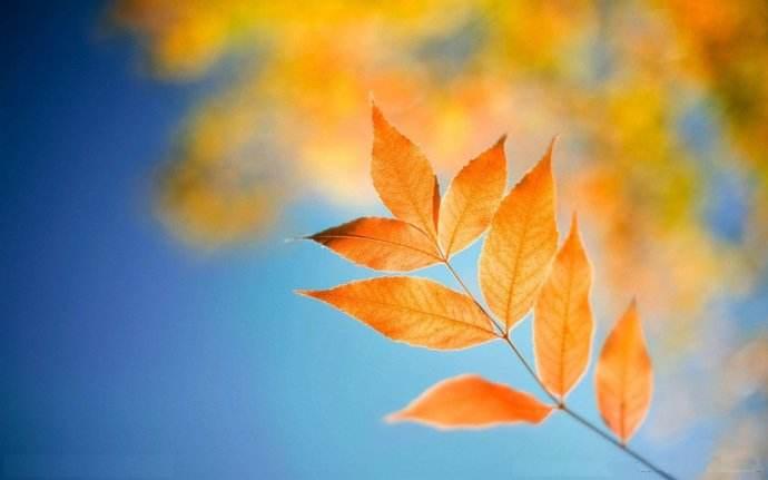 怎么让自己的声音变得干净清澈 v2-8e2aab1cb609cc158b61b3c4d2ed3cae_1440w.jpg?source=172ae18b