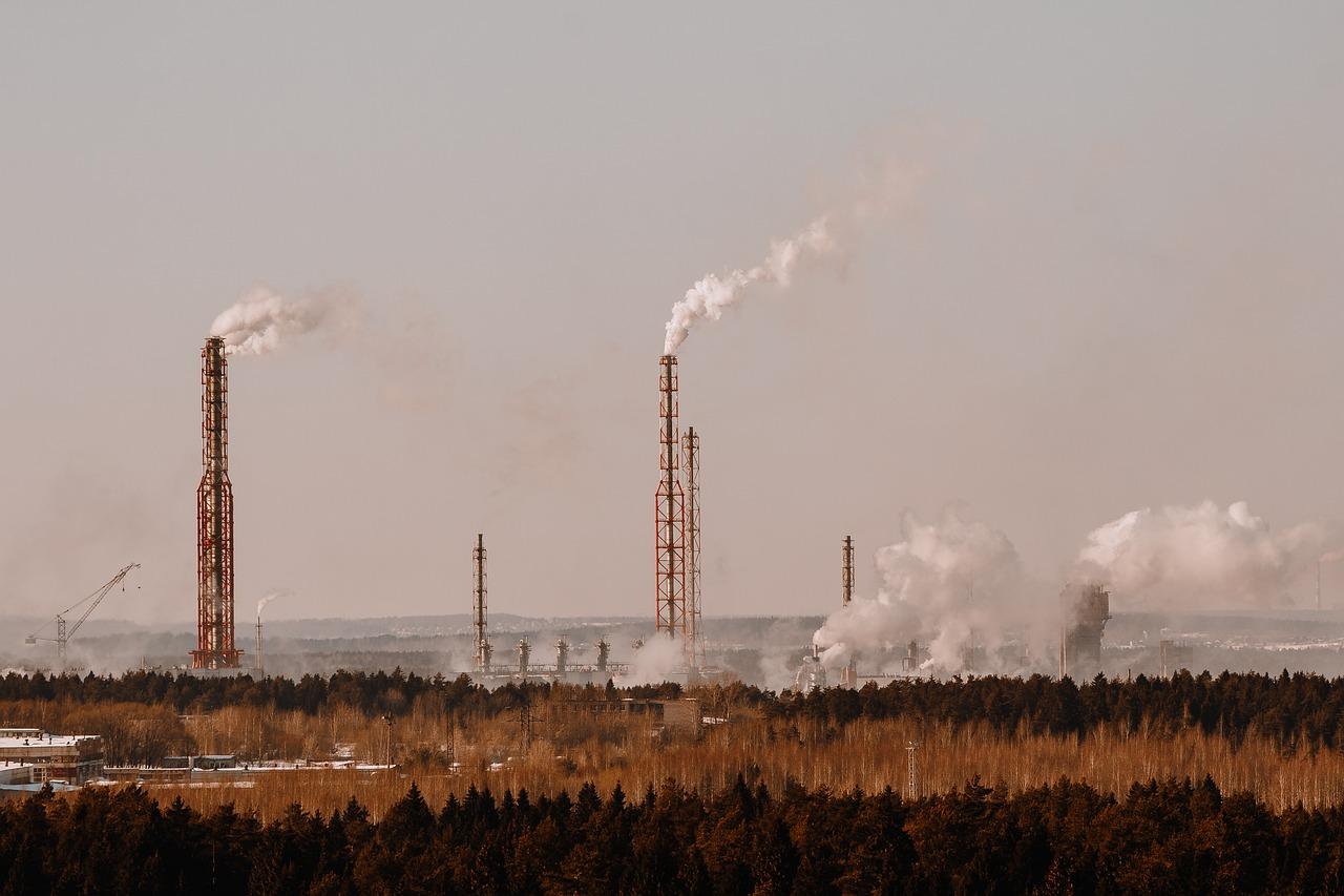 价格性价比解析