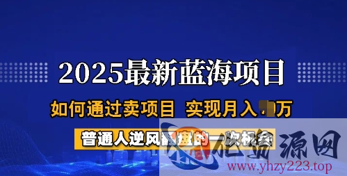 2025蓝海项目，普通人如何通过卖项目，实现月入过W，全过程【揭秘】