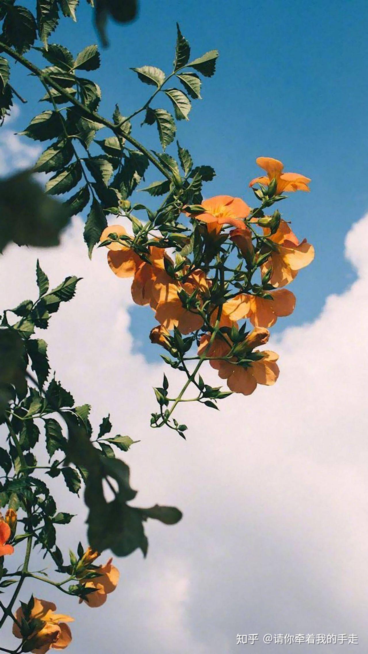 有哪些值得推荐的qq聊天背景照片