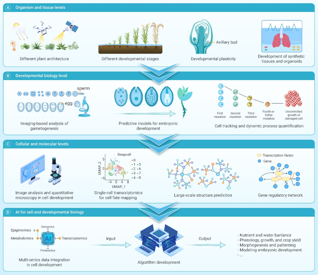 The Innovation Life | 人工智能与生命科学前沿综述 - 知乎