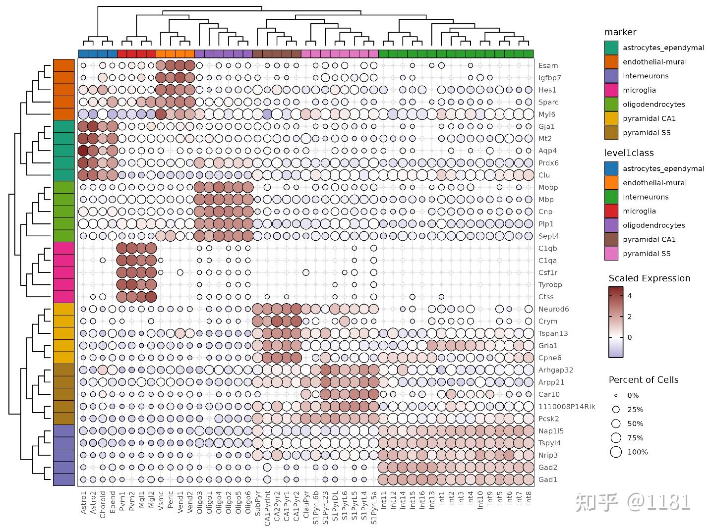 绘制超级漂亮的单细胞marker基因气泡图 - 知乎