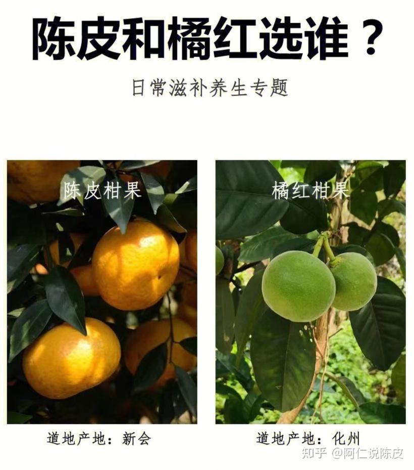 [强烈收藏]陈皮VS化橘红怎么选？ - 知乎