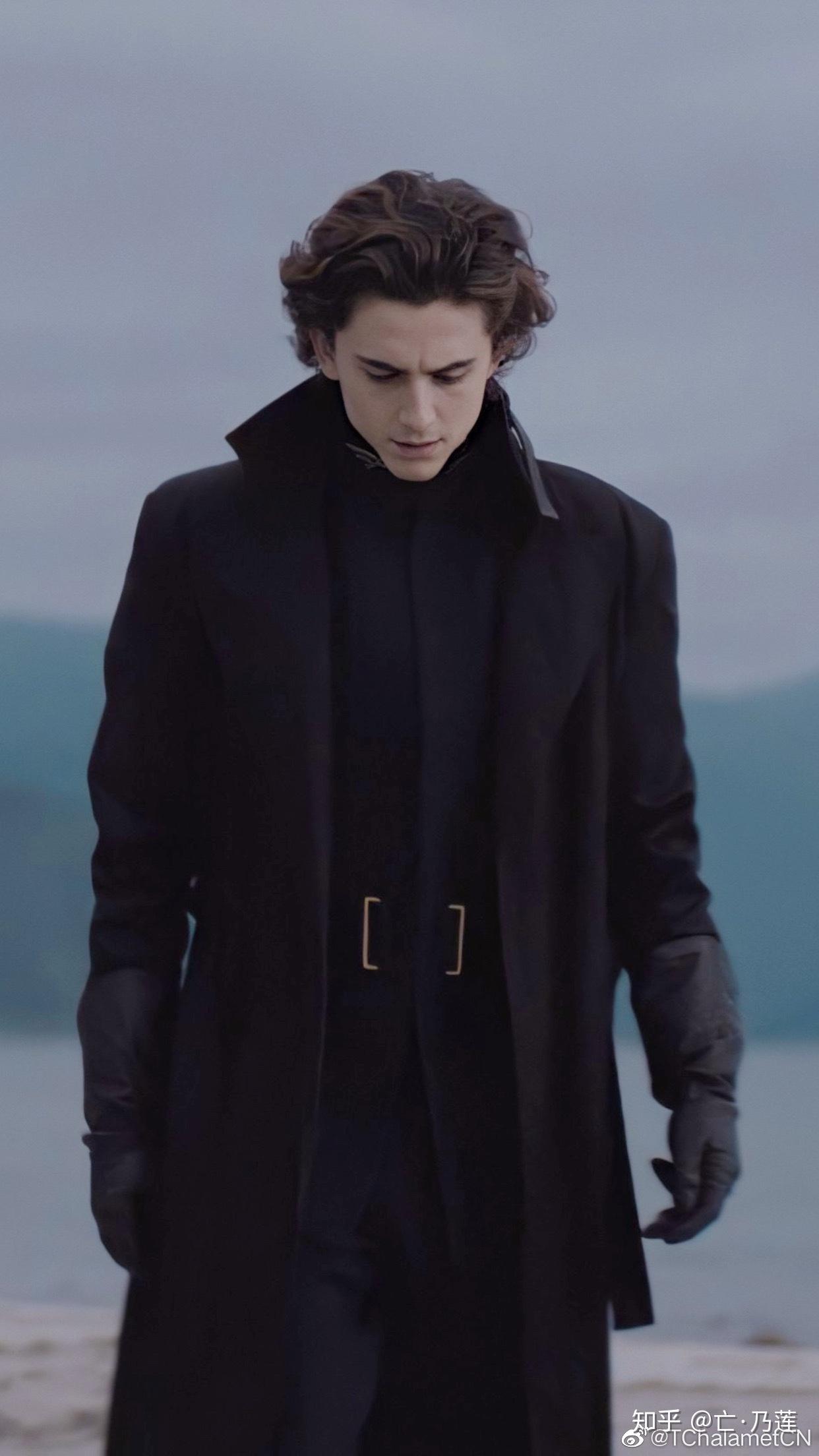 有那些符合你心中雷古勒斯布莱克形象的演员