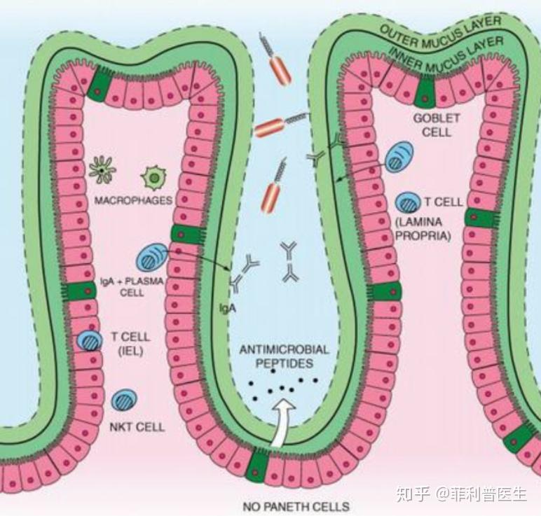 挑奶粉无小事妈妈如何治愈选择困难症