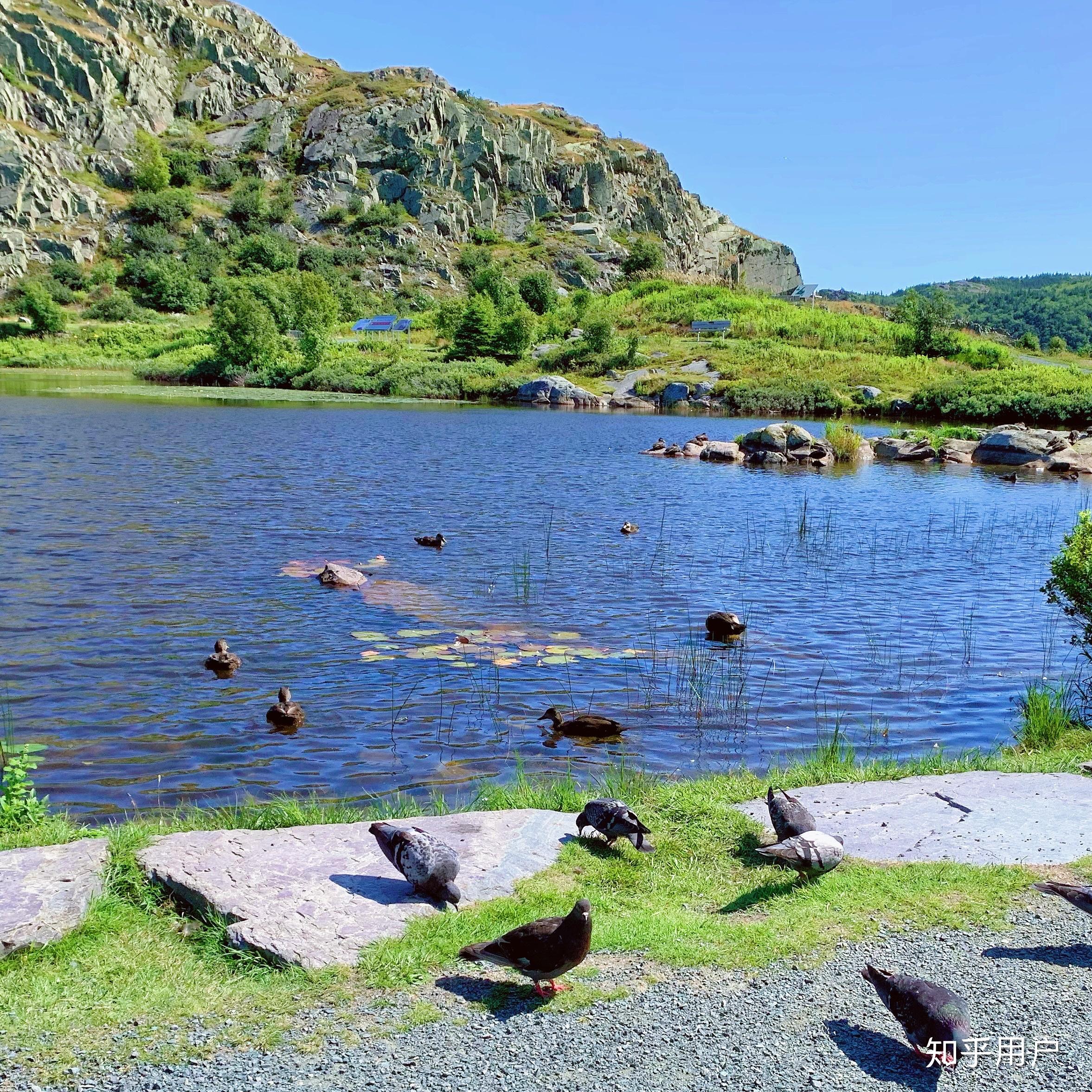 在纽芬兰纪念大学就读是怎样的体验