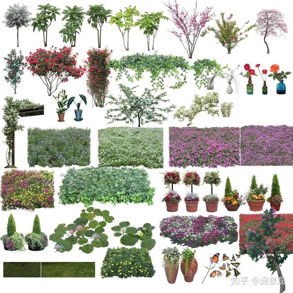 25.4G高清PSD分层植物立面源文件，景观设计必备 - 知乎