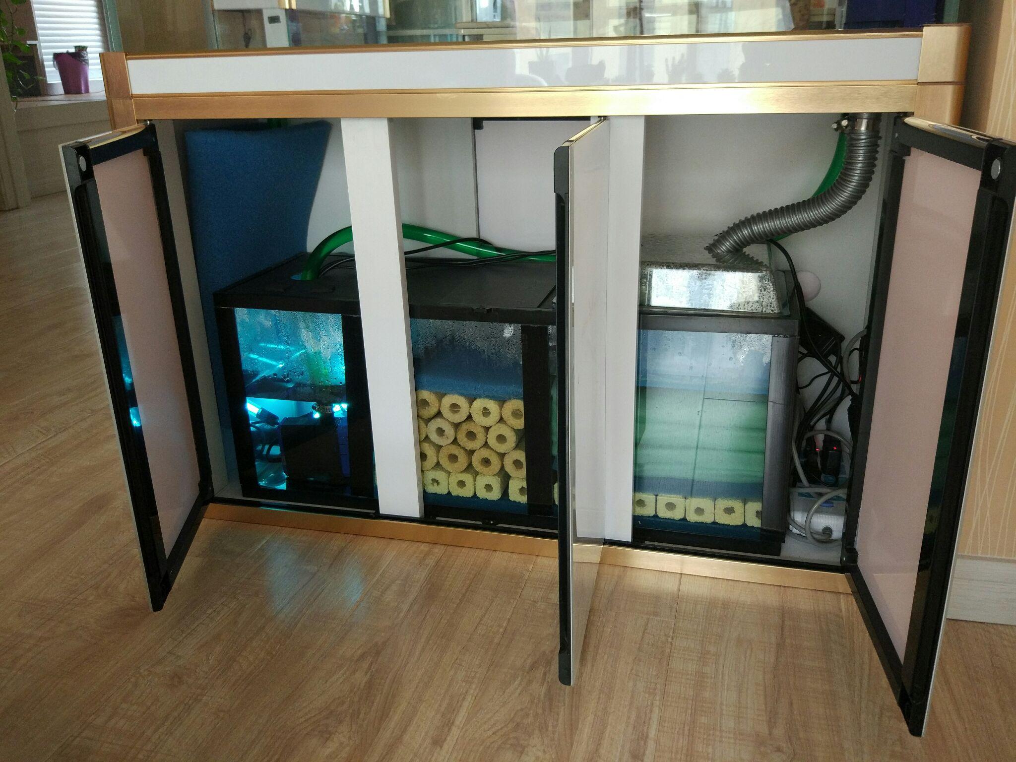 新手入门养鱼一米带底滤鱼缸该怎么开始有什么好看易养的品种