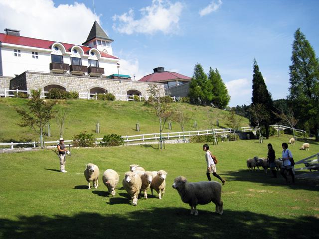 日本之旅亲子游 神户六甲山高山牧场 知乎